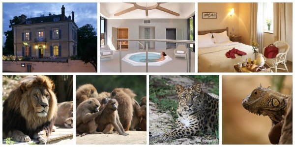Séjour au royaume des animaux sud Mayenne