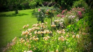 Parc du Château de Craon