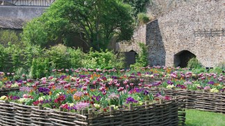 Jardin médiéval à Château-Gontier