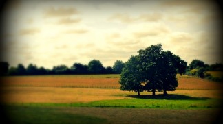 Paysage du sud Mayenne