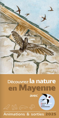 Se reproduire : une nécessité pour les amphibiens !