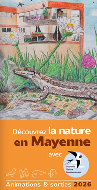 Accueil à la ferme : découverte des libellules
