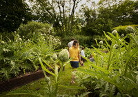 Rendez-vous aux Jardins - Visite des jardins du Manoir de Favry