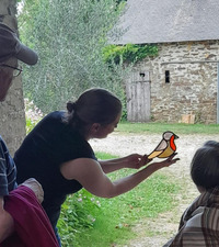 RDV du Printemps : Atelier "Dessin et Vitrail" à la ferme La Grulière