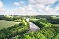 Des chauves-souris au-dessus de la Mayenne