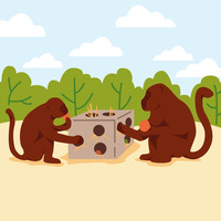 Atelier création d’enrichissements