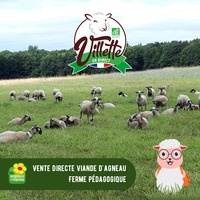 FERME PÉDAGOGIQUE VILLETTE EN DIRECT