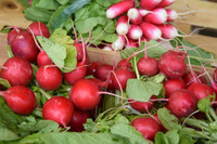 MARCHÉ DE MESLAY-DU-MAINE