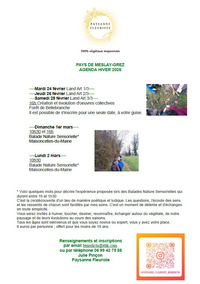 Balade nature sensorielle