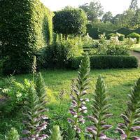Rendez-vos aux Jardins - A la découverte de l'art des jardins au manoir de Favry