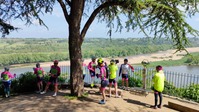 RANDO MAYENNE ANGEVINE