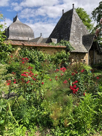 Rendez-vous aux Jardins - visite découverte du parc du Château du Tertre de Mée