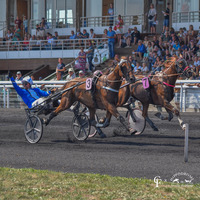 Rdv de l'été : Visite de l'hippodrome de Meslay-du-Maine