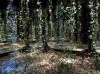 Exposition estivale au gARage