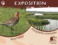 EXPOSITION PHOTOS / VIDÉOS : « LES OISEAUX MIGRATEURS DE LA BAIE DU BOURGNEUF ET DU MARAIS BRETON »