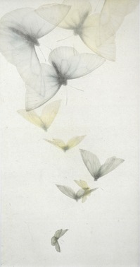 EXPOSITION MIKIO WATANABÉ