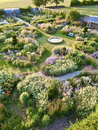 Rendez-vous aux Jardins - Visite guidée du jardin clos au Château de La Carrière