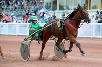 COURSES HIPPIQUES A MESLAY-DU-MAINE