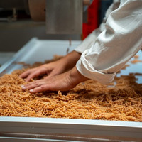 RDV du Printemps : Visite de la production de pâtes Séquoia