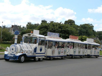 Visite de la ville historique en petit train touristique