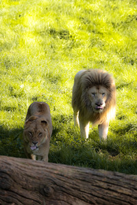 Points rencontre au Refuge de l'Arche