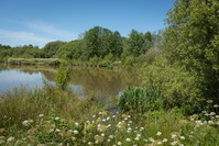 Découverte de la base de loisirs