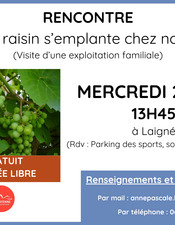 Destination Jardins - affiches A4 - Le raisin s'emplante