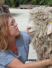 Mohair du Maine