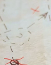 Opération sauvez merlin !