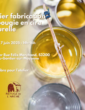 Atelier fabrication bougie cire naturelle
