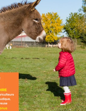 Automne à la ferme affiche