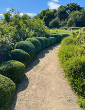 art topiaire château des arcis