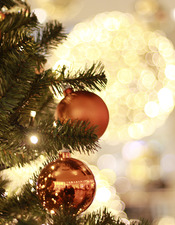 Design sans titre - 2