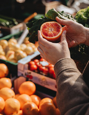 Design sans titre - 1