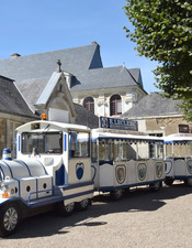 PETIT TRAIN TOURISTIQUE (12)
