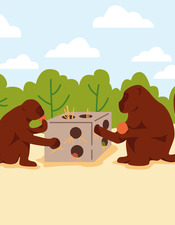 SITE_Enrichissements