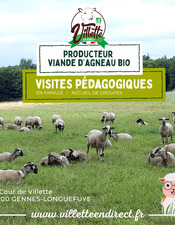 Visuel d'illustration - 1