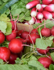 marche-jeudi-matin (9)