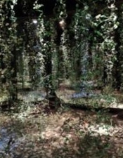 expo été au gARage