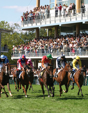 galop