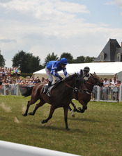 hippodrome de molieres