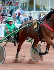 hippodrome meslay-du-maine