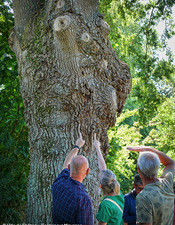 label_sur le chemin de la nature (11)