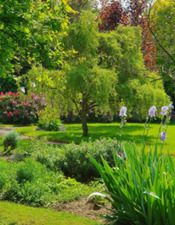 le domaine du fort