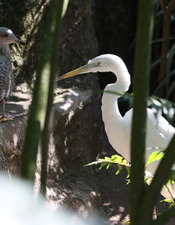 refuge-de-l-arche-2010-credits-JC-Druais (64)