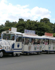 train touristique