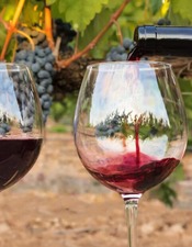 visite un verre à la main