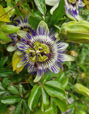 visite sensorielle 1