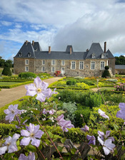 448886905_1137833387406399_3448913241832150417_n