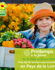 2026_PRINTEMPS BAF - Instagram - 1